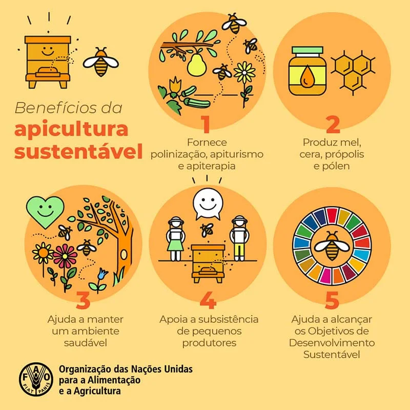 Crise global da polinização ameaça a produção de alimentos