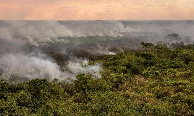 Pantanal pode ter crise hídrica histórica em 2024, aponta estudo