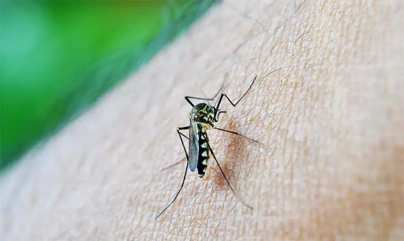 Monitoramento Inteligente da Dengue começa a ser implantado em Itabira ainda neste mês para dar combate às arboviroses