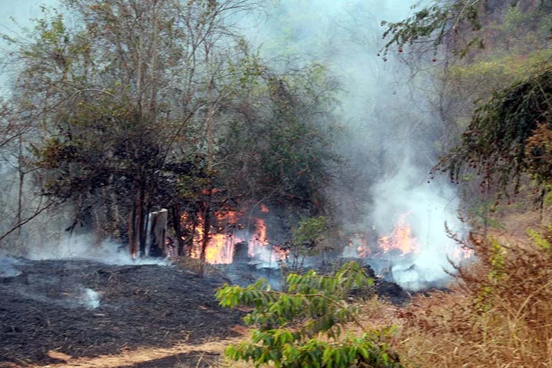 Efeitos globais da mudança climática nos incêndios florestais