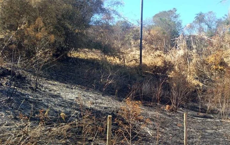 Brigadistas debelam princípio de incêndio no Parque do Limoeiro; autor de queimada é autuado e multado pela Polícia Ambiental Militar