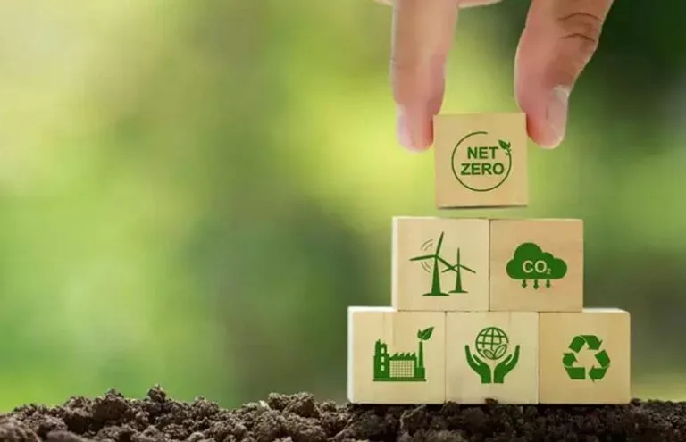 Brasil pode liderar mercado de créditos de carbono no mundo