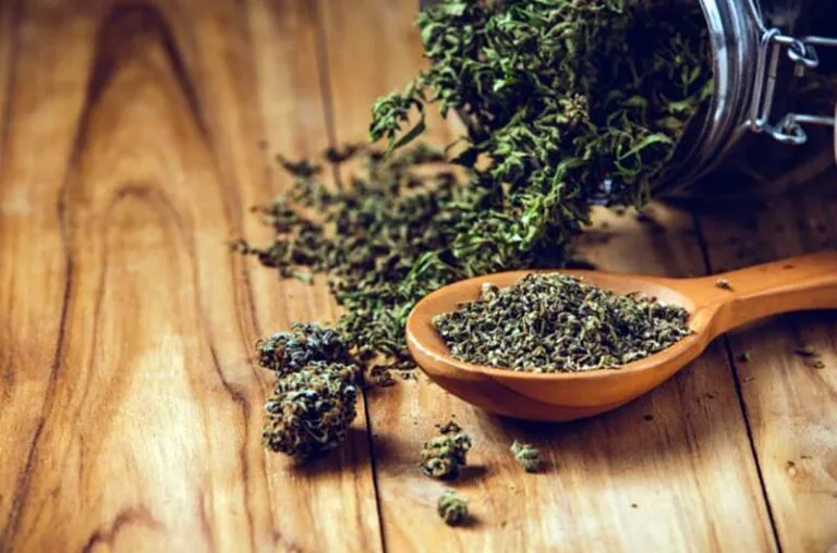 Novas diretrizes da Anvisa para cannabis medicinal podem expandir o mercado no Brasil