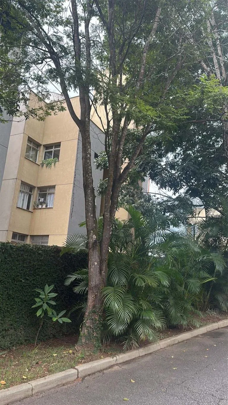 Corte de árvores nobres é autorizado pela Defesa Civil  de Itabira na Vila Técnica Areão, sob protesto de quem discorda