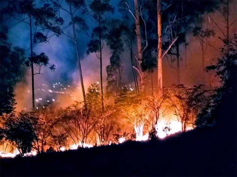 Empresa itabirana lança campanha interna de prevenção a queimadas e incêndios florestais