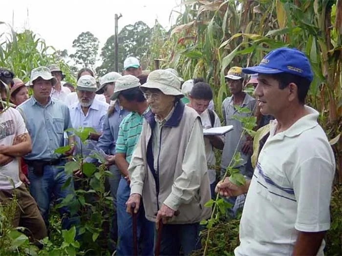 Da terra ao prato: como a oferta de alimentação escolar está mudando a agricultura familiar no Brasil