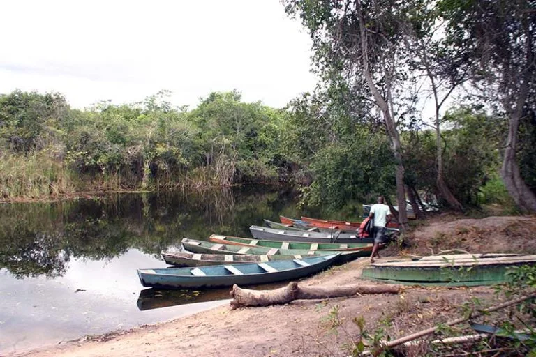 Aprenda com quantos paus se faz uma canoa e siga pela terceira margem do rio