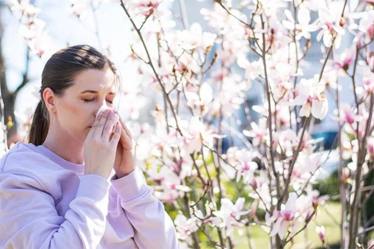 Doenças alérgicas na primavera: veja como se proteger na estação das flores