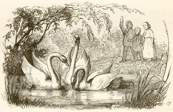 Ser patinho feio ou belo cisne: eis a questão