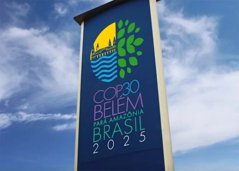 Greenwashing: por que essa prática pode impactar investimentos pós COP30?