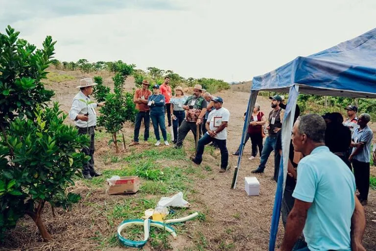 Fruticultura em foco: Dia de Campo reúne produtores rurais em Itabira para capacitação e troca de experiências