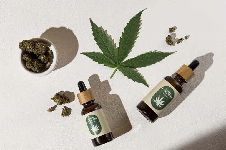 Anvisa adia decisão sobre cannabis medicinal e setor prevê impacto em mercado bilionário
