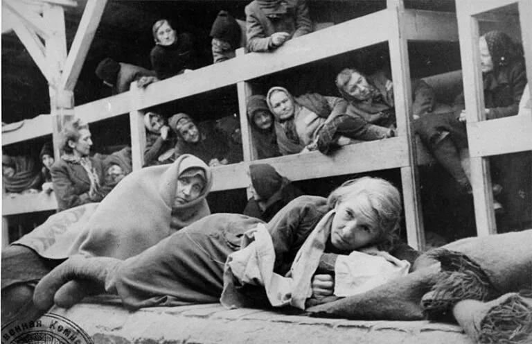 Dia Nacional de Lembrança do Holocausto: 87,3% dos brasileiros nunca participaram de ações educativas sobre o massacre de judeus pelos nazistas