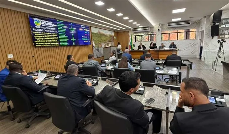 Câmara de Itabira aprova projeto que prevê divulgação de calendário de capina e roçada nos bairros; prefeito pode vetar ou sancionar