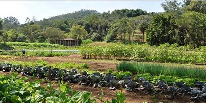 Compra coletiva fortalece produtores rurais de Itabira e garante insumos de qualidade para a safra