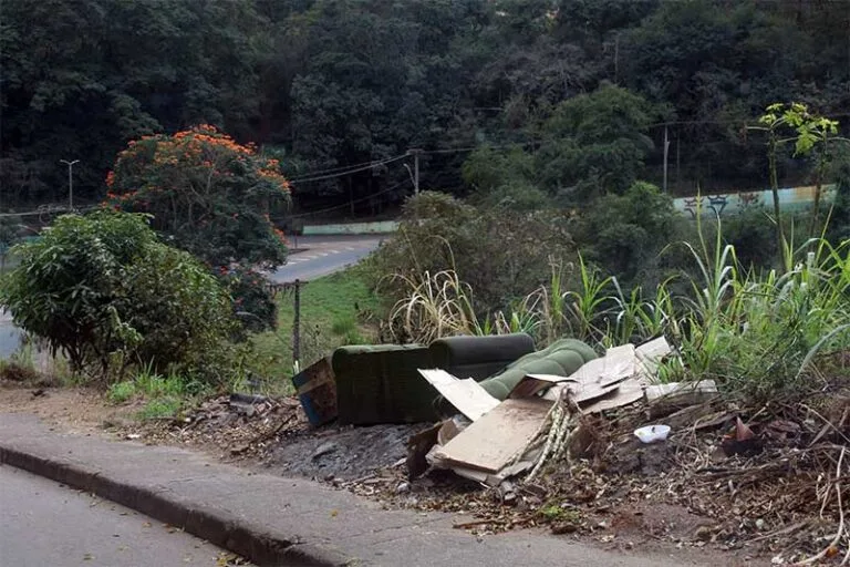 Vereadores aprovam divulgação de cronograma de capina e limpeza urbana; e cobram participação da população